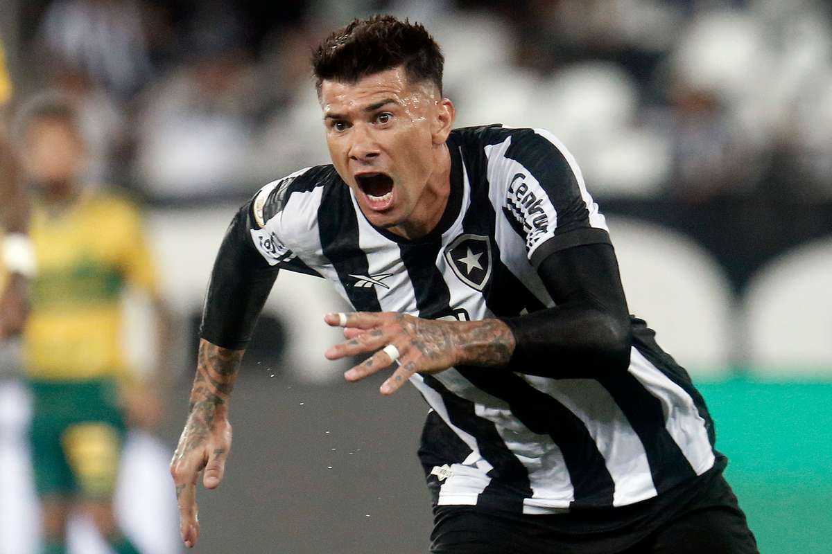 Aproveitamento do Botafogo cai pela metade no 2º turno do Brasileirão