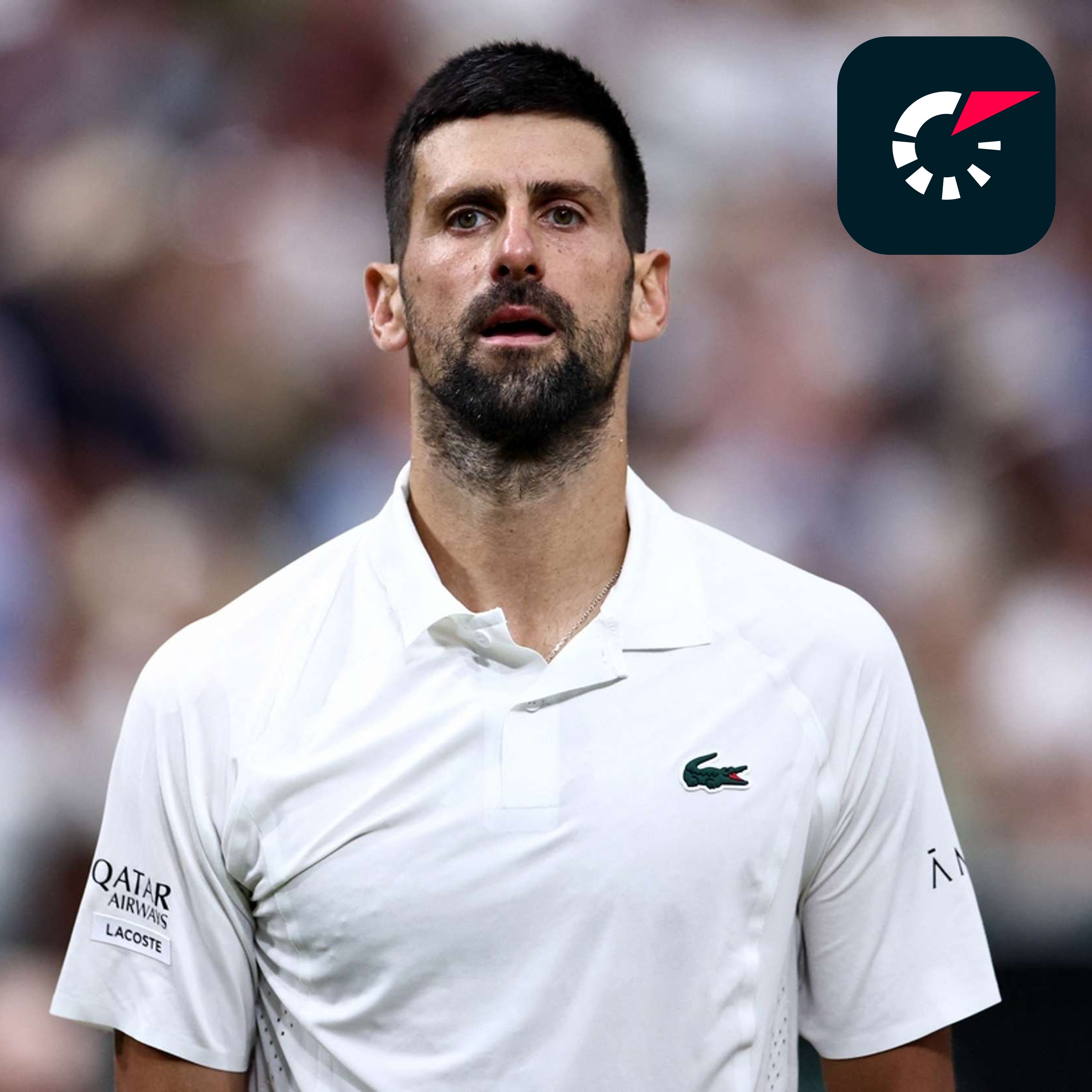 Uvidí Wimbledon předčasné finále? Djokovič vyzve Sinnera, Zvereva čeká senzace turnaje