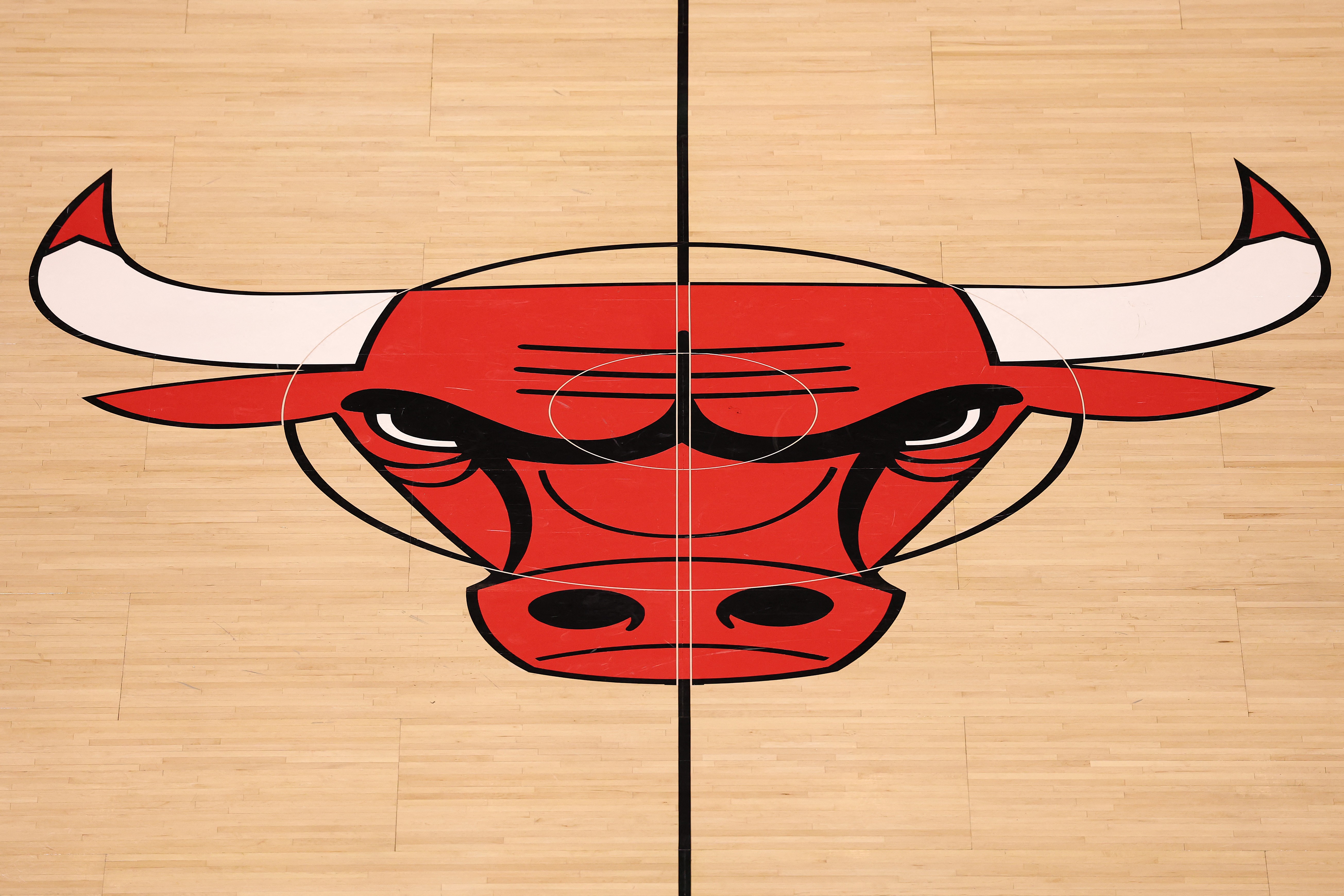 Bulls mid-court logo