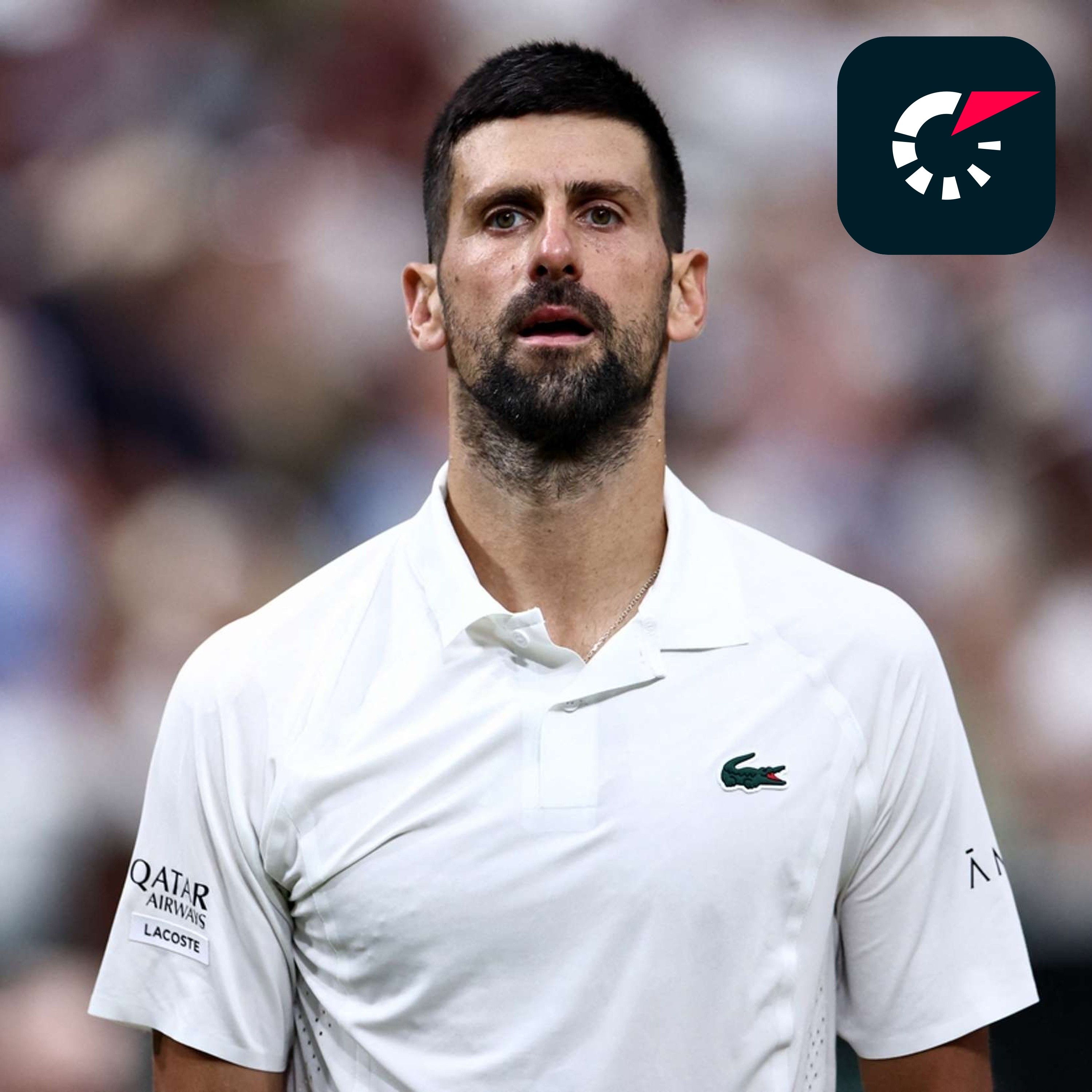 Djokovic faces Sinner in epic semi-final clash as Zverev meets home sensation Fery episode artwork