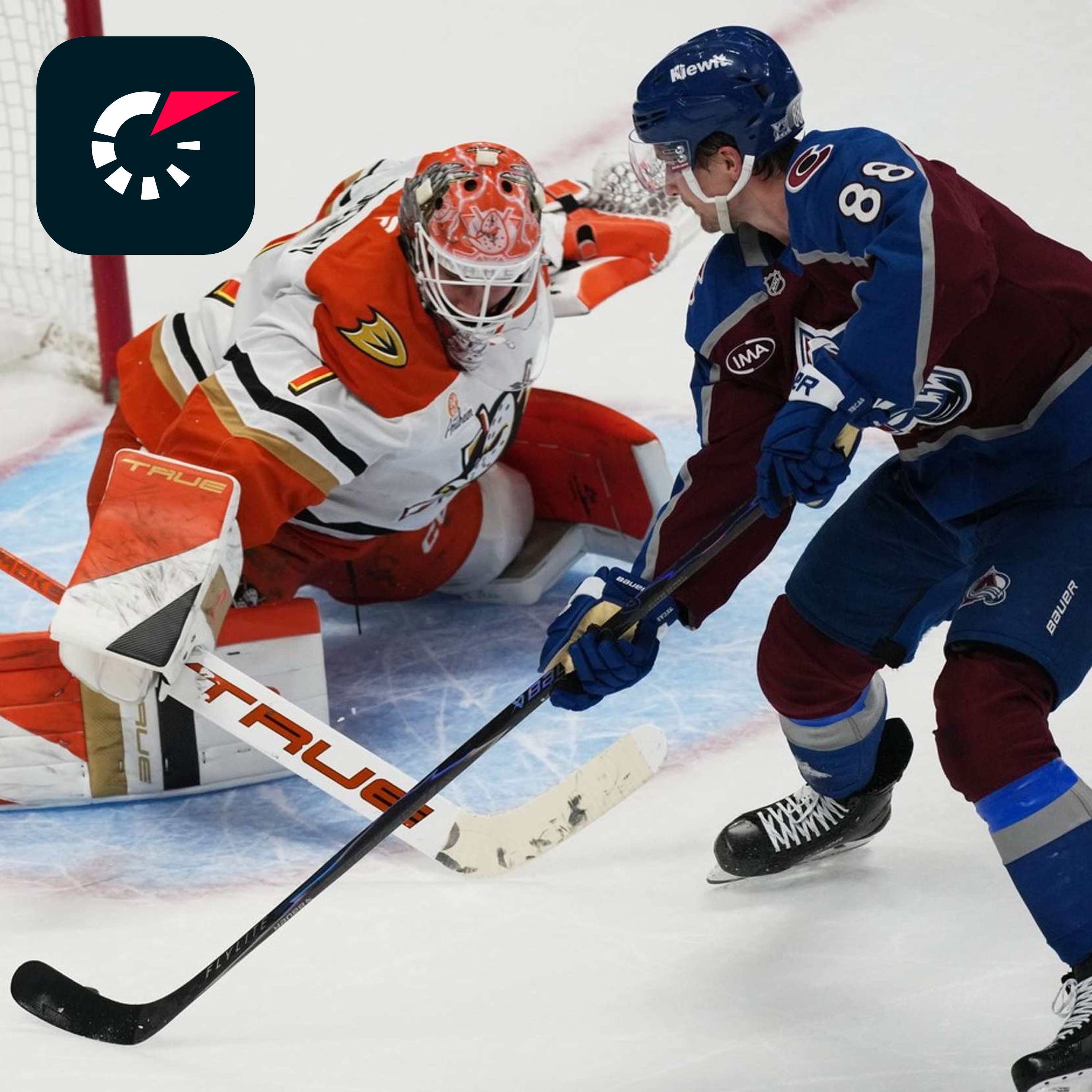 Češi v nové sezoně NHL: Dvě superstar, báječní gólmani i nejmenší počet za 25 let?