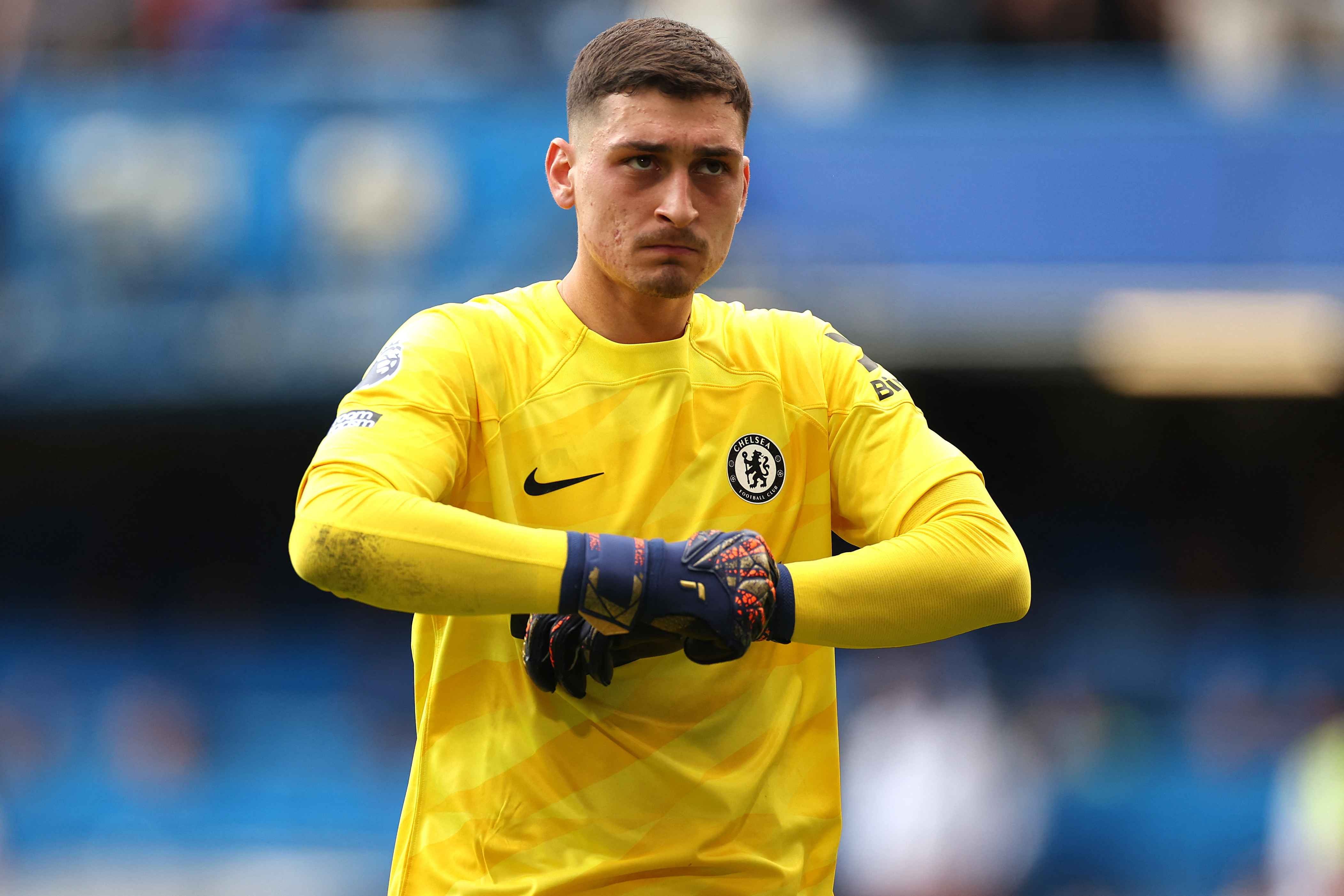Bournemouth has signed Serbian goalkeeper Djordje Petrovic from Chelsea.