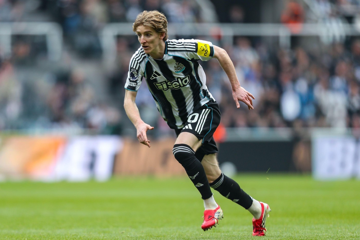 Le Bayern Munich met sur la table un contrat pour Gordon