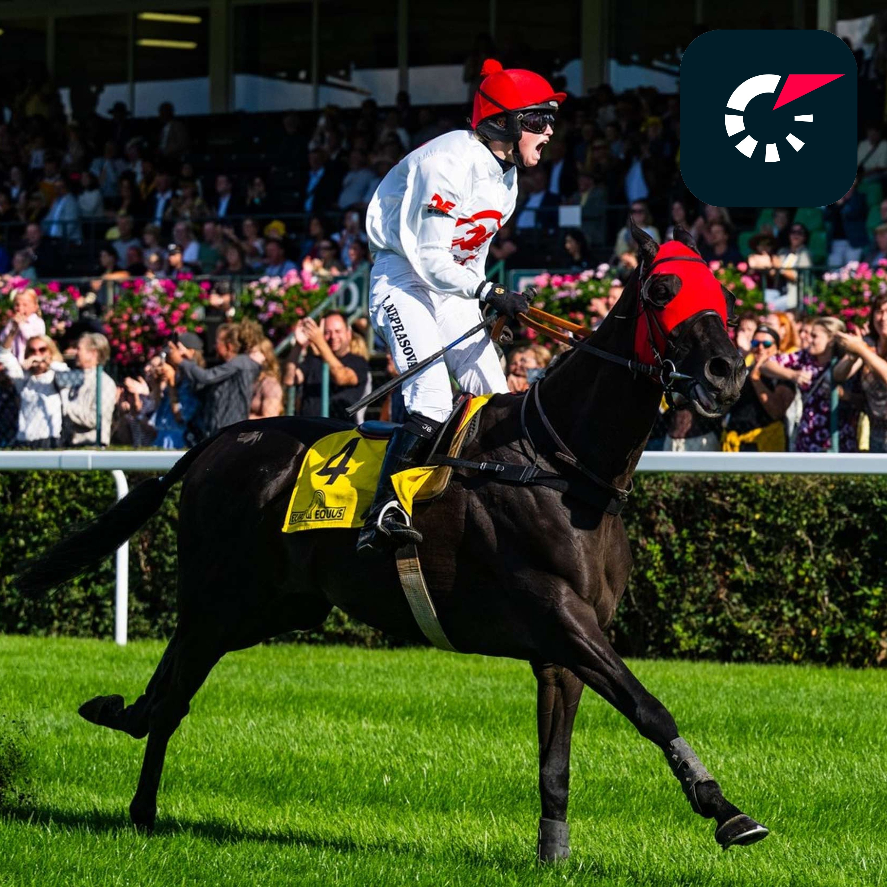 Nástupce Stumptowna i šampion Godfrey: Kompletní přehled koní pro Velkou pardubickou