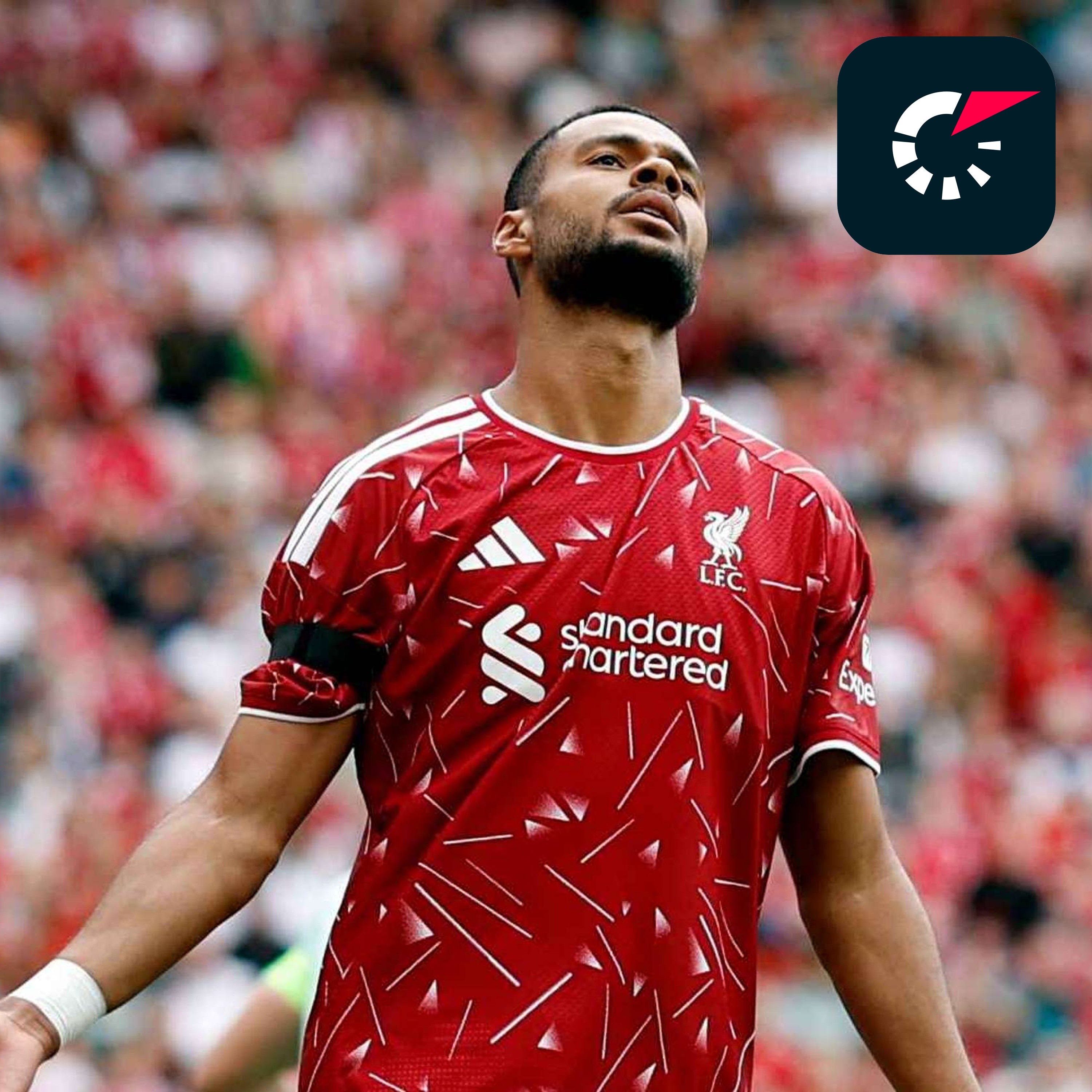 Flashscore sources: Tottenham growing in hope of signing £70m-rated Cody Gakpo episode artwork