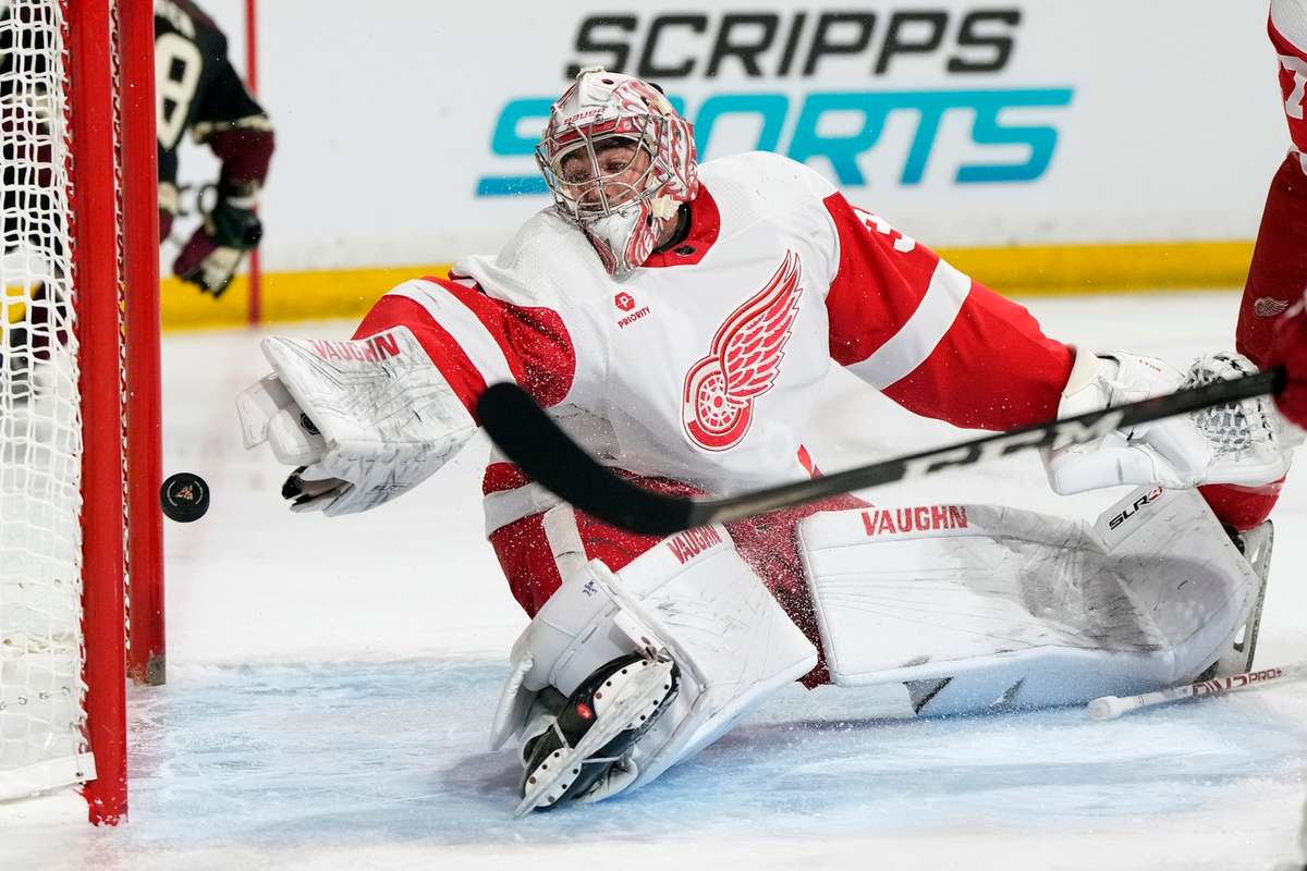 NHL: Vier Niederlagen Und 20 Gegentore - Seiders Red Wings In Der Krise ...