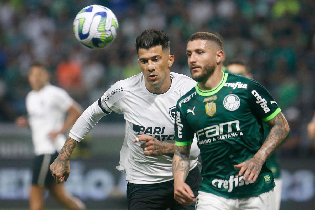 BOTAFOGO X PALMEIRAS TRANSMISSÃO AO VIVO DIRETO DO NILTON SANTOS