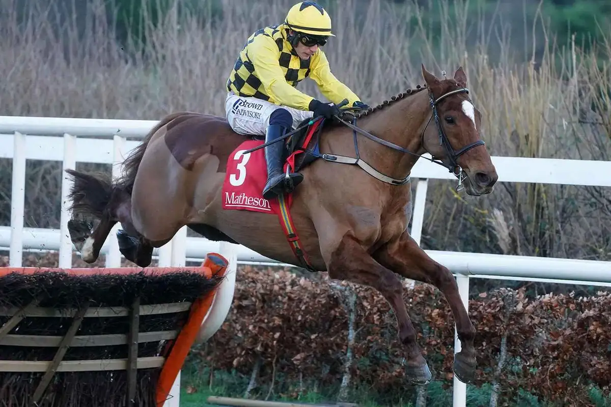 Irish Champion Hurdle predictions, best bets and odds