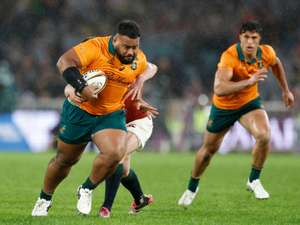 トレーニングトップ 1/4ジップ ラグビー ラシン92 フランスリーグ ラグビー TOP14 ラシン92 ホーム ジャージ : ラグビーフリークス