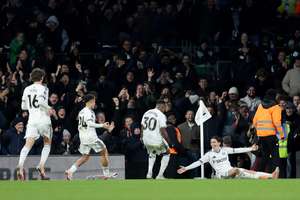 Fulham celebrate Wilson's late winner