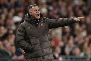 Ante Milicic reacts on the touchline