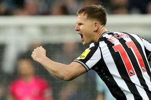 Matt Ritchie celebrates scoring for Newcastle