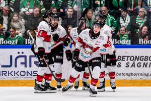 Malmo celebrate their second goal against Rogle