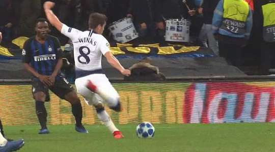 Harry Winks (Tottenham) đuổi theo một đường chuyền và dứt điểm nhanh ngay từ ngoài rìa vòng cấm. Cú sút của anh đã đánh bại thủ môn đối phương nhưng lại đi trúng vào xà ngang. Một nỗ lực rất tốt!