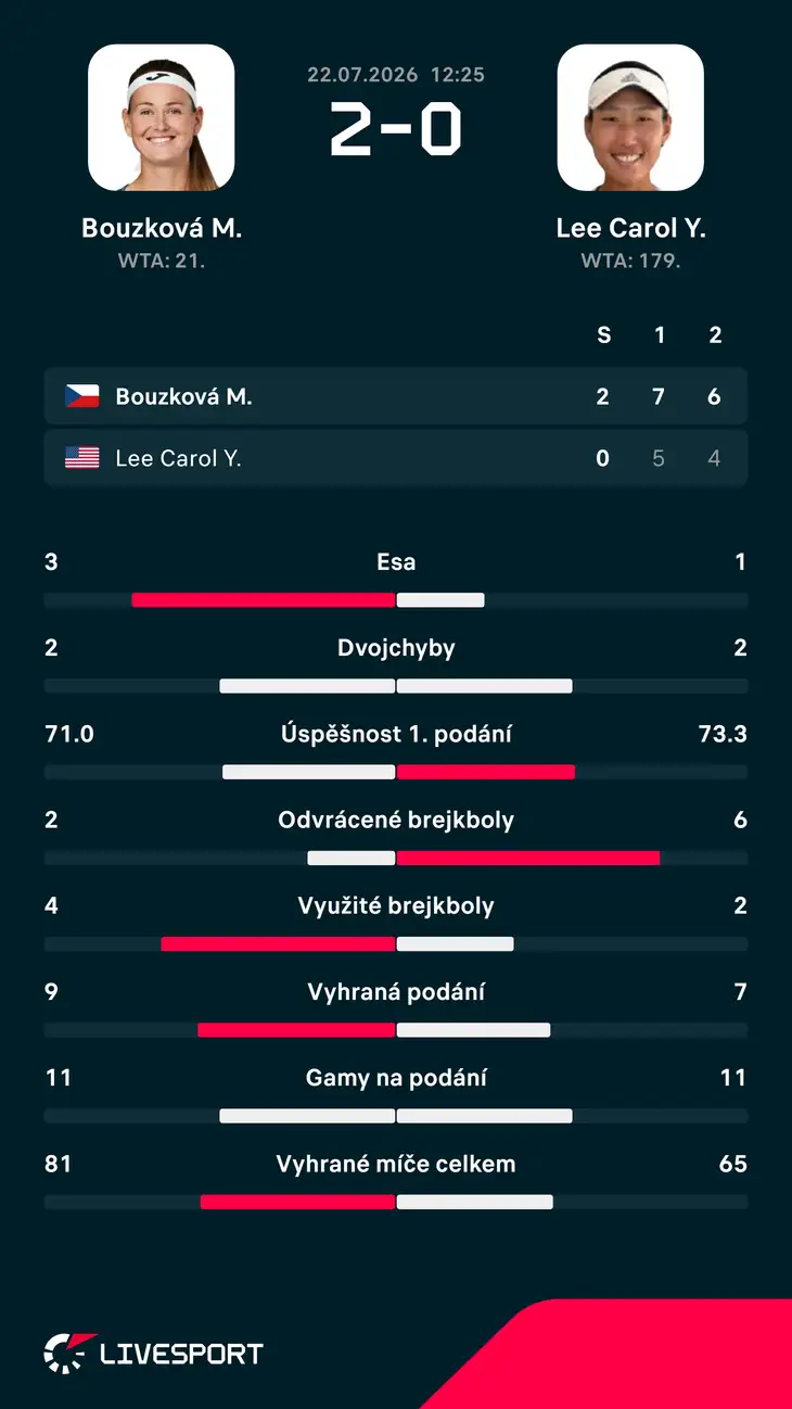 Statistiky zápasu.