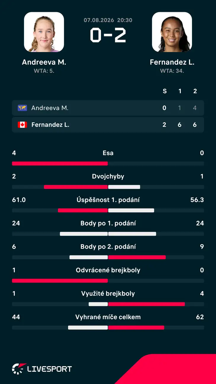 Statistiky zápasu.