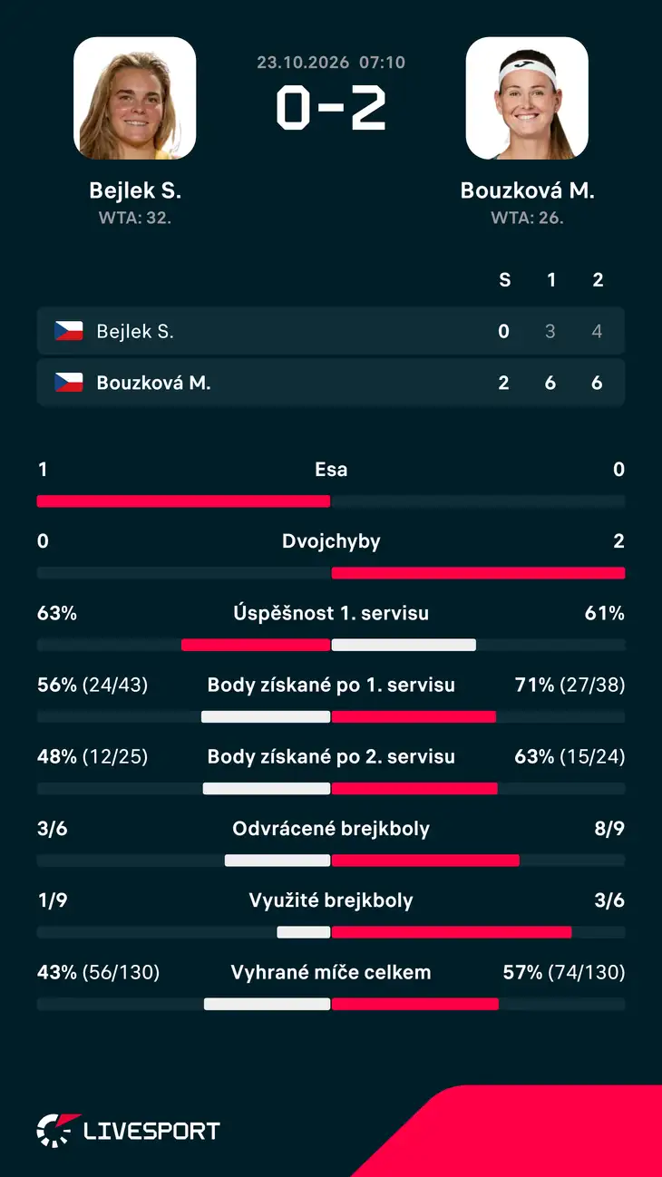 Statistiky zápasu.