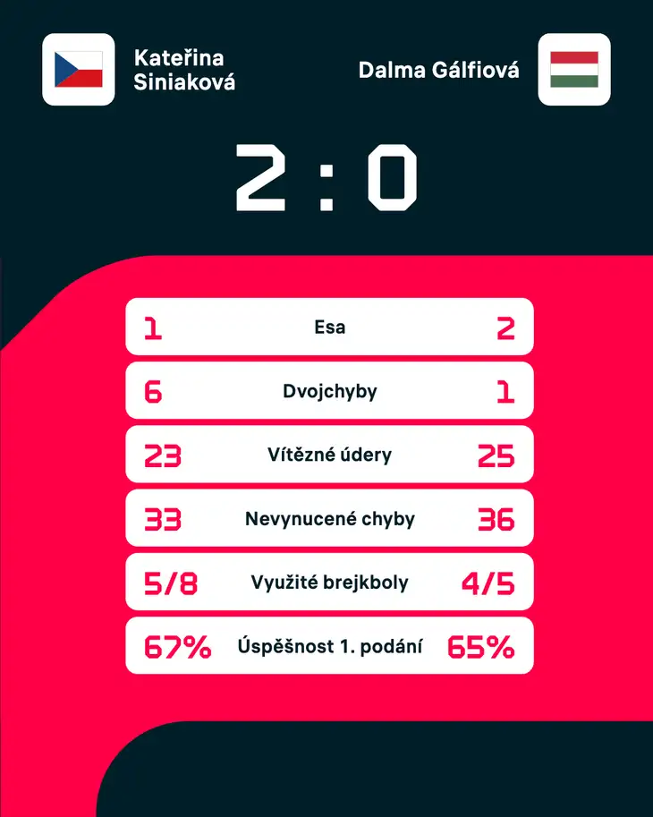 Statistika zápasu