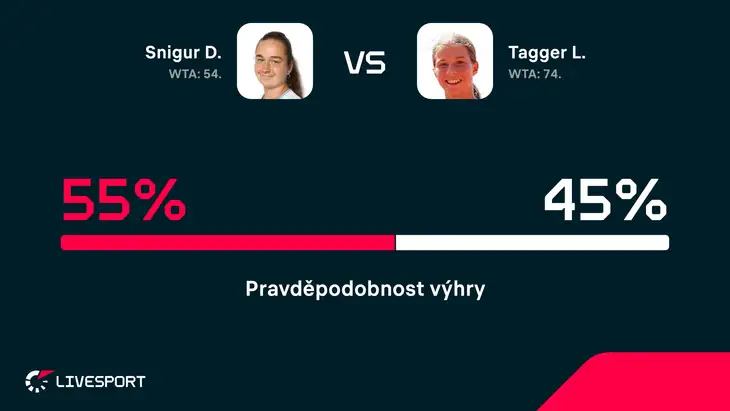 Predikce zápasu.