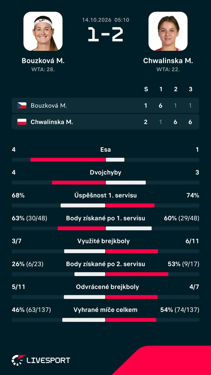 Statistiky zápasu.