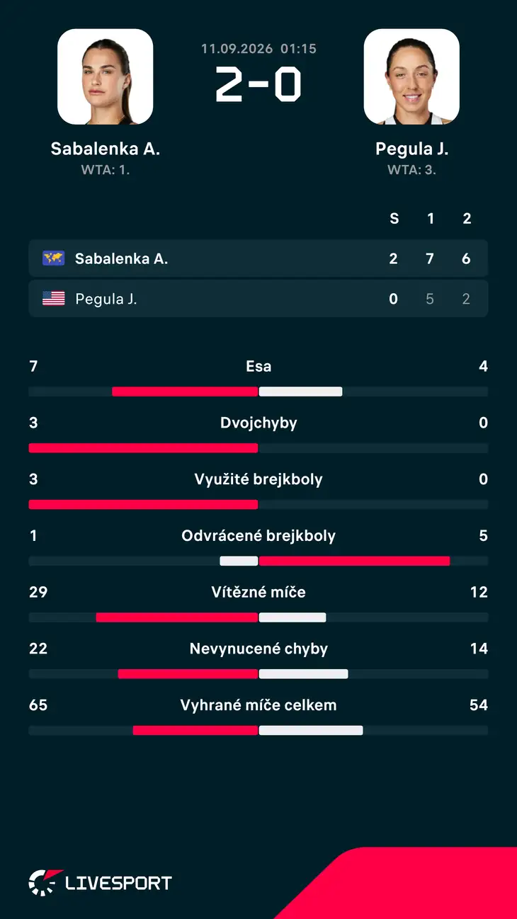 Statistiky zápasu.