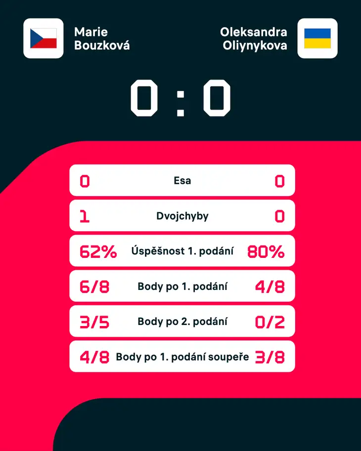 Statistika zápasu.