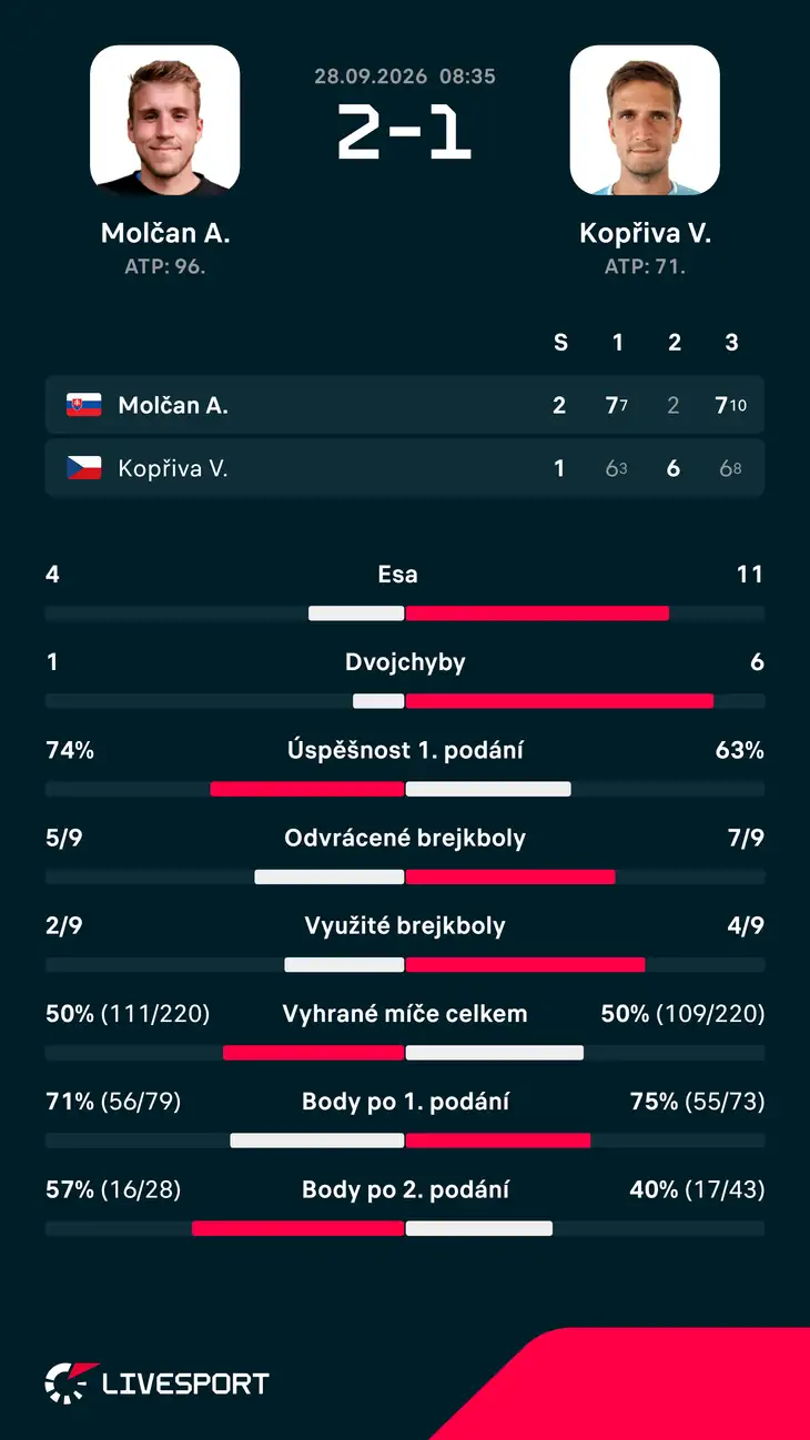 Statistiky zápasu.