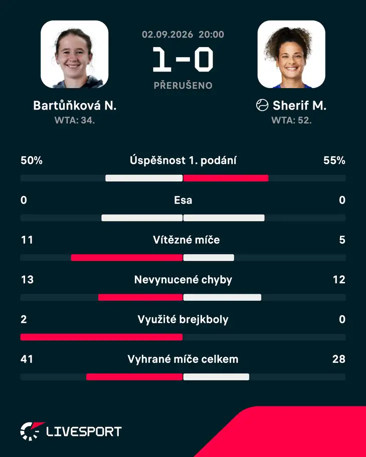 Statistika zápasu.