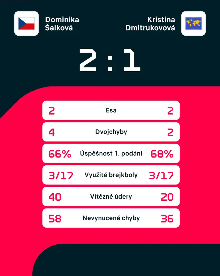 Statistiky zápasu.