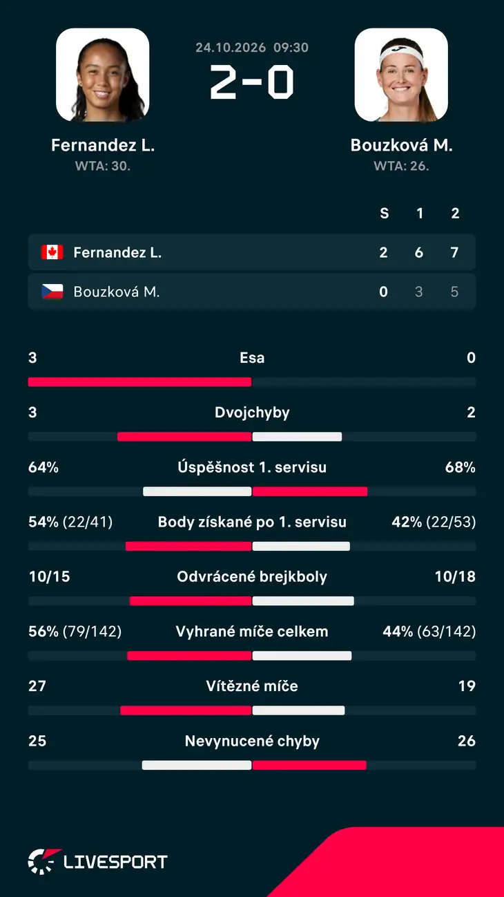 Statistiky zápasu.