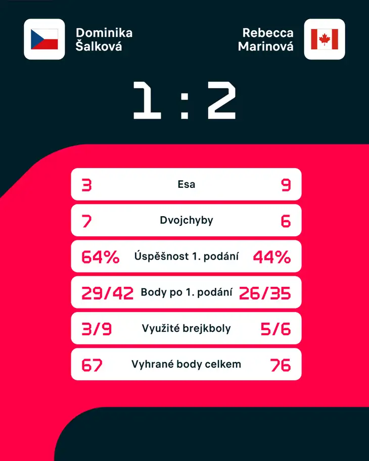 Statistiky zápasu.