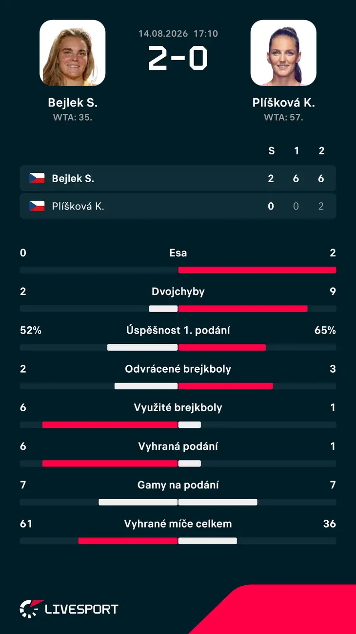 Statistiky zápasu.