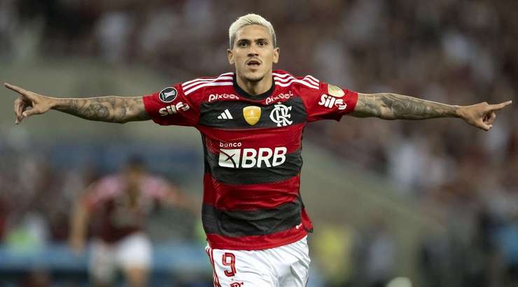 Vào! Pedro (Flamengo RJ) nhận bóng trong vòng cấm ở một vị trí rất thuận lợi và dứt điểm. Cú sút của anh đổi hướng khi chạm vào một cầu thủ đối phương, khiến thủ môn Hernan Galindez bó tay. Tỉ số đã được nâng lên 1:0.
