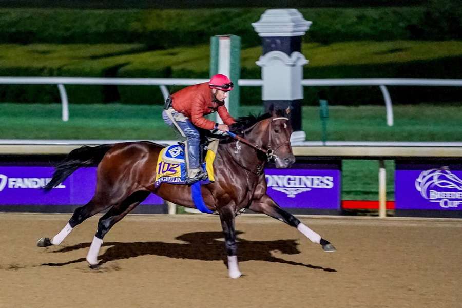 Flightline is favourite for the Breeders' Cup Classic