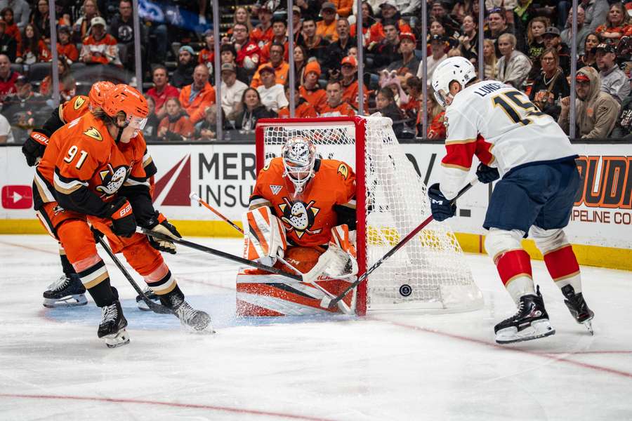 Dostál vychytal výhru Ducks nad Panthers. Dostál vychytal výhru Ducks nad Panthers.