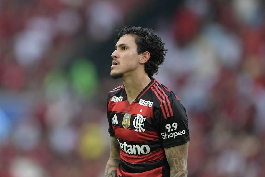 Pedro tem feito muitos gols pelo Flamengo
