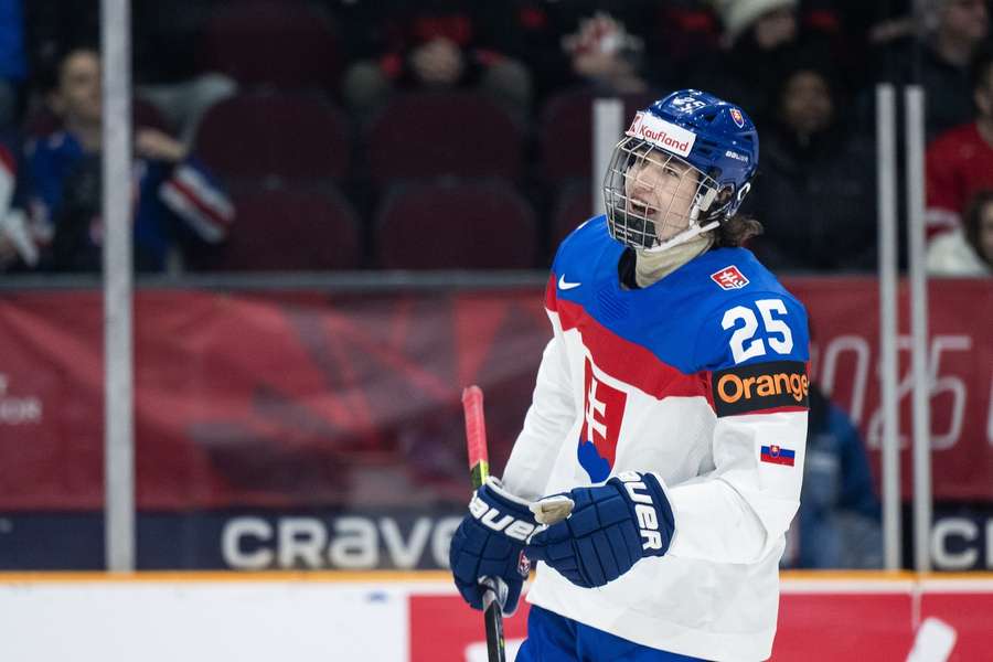 Chovan si musí na šancu v NHL počkať. 