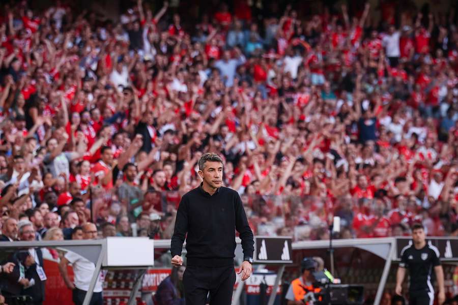 Bruno Lage, treinador do Benfica