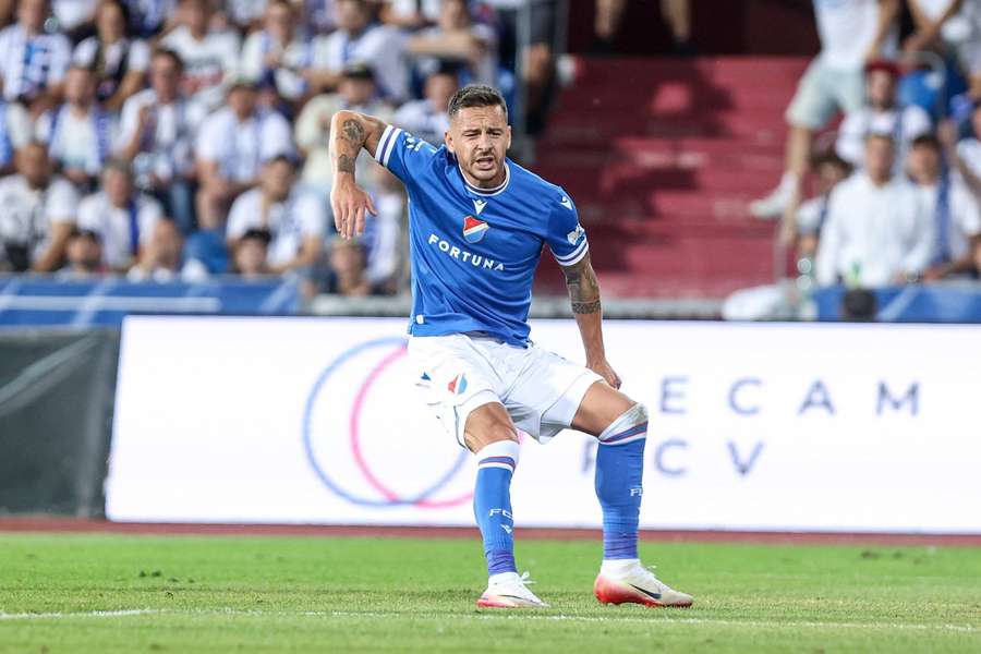 Holzera čeká delší pauza. Holzera čeká delší pauza.