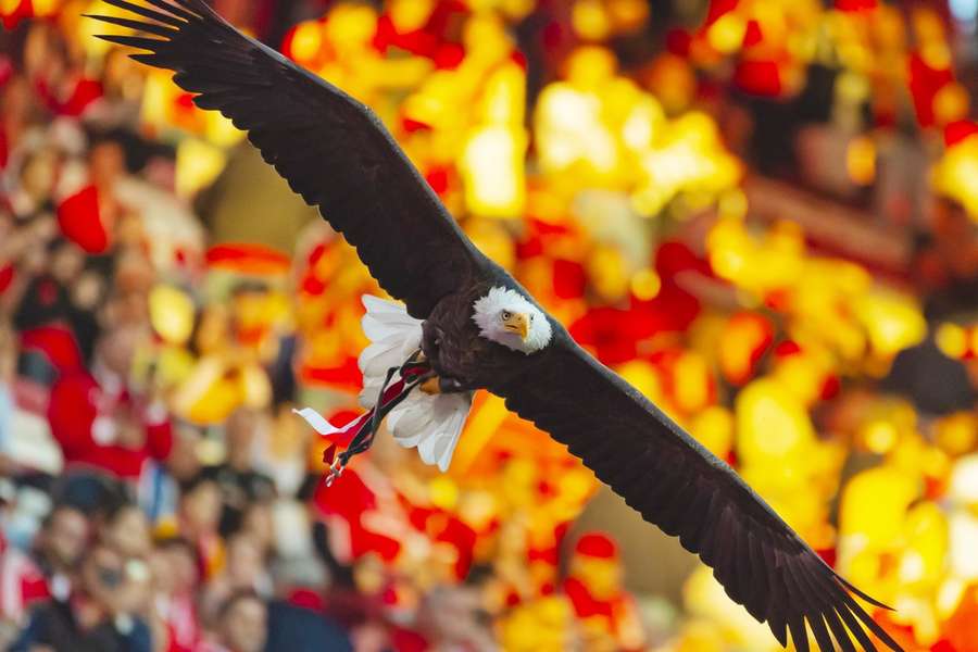 De Adelaar in het stadion van Benfica