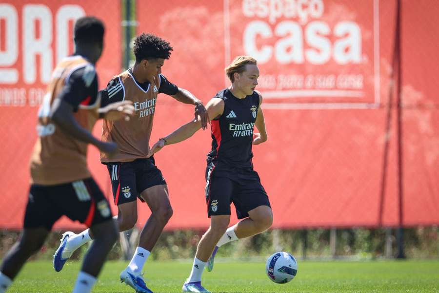 Andreas Schjelderup no treino do Benfica