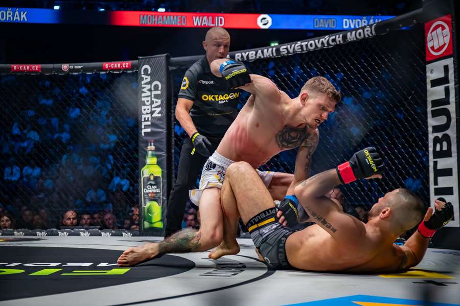 Dvořák se do OKTAGONu vrátil ve velkém stylu. Dvořák se do OKTAGONu vrátil ve velkém stylu.