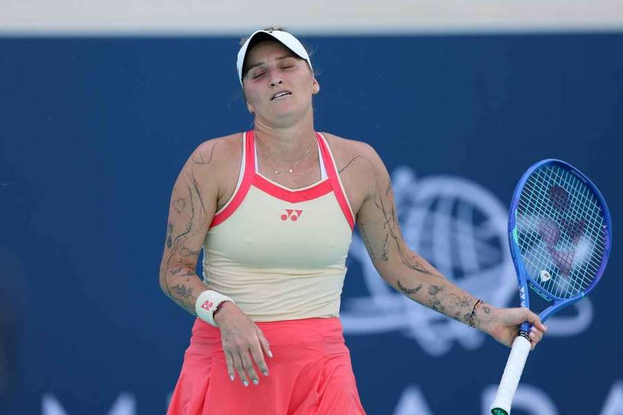 vondrouš