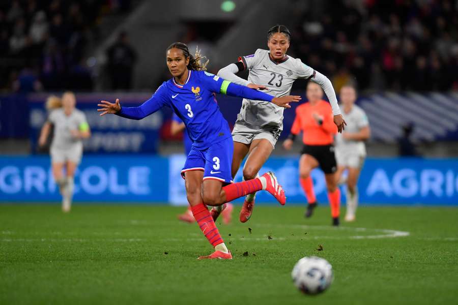 Renard face à l'Islande en février.