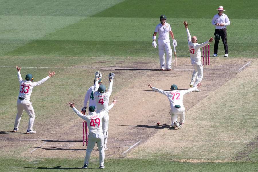 Australia's players appeal an LBW decision