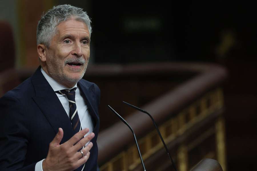 Fernando Grande-Marlaska, Ministro del Interior