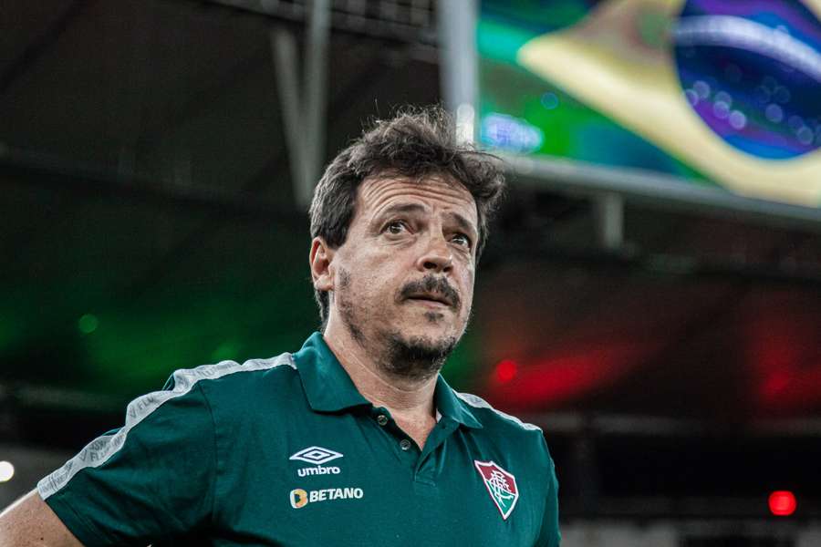 Diniz devrait assurer l'intérim à la tête de la Seleção