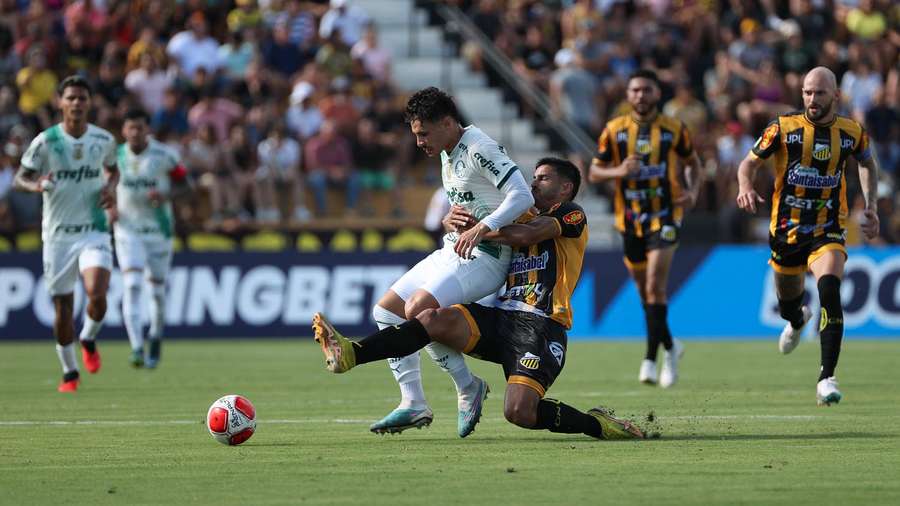 Lance do jogo entre Palmeiras e Novo Horizontino