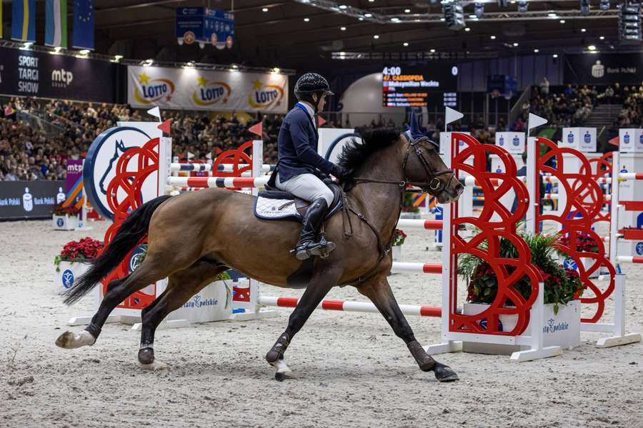 Jeździecka Cavaliada – poznańskie zawody znów w randze czterech gwiazdek