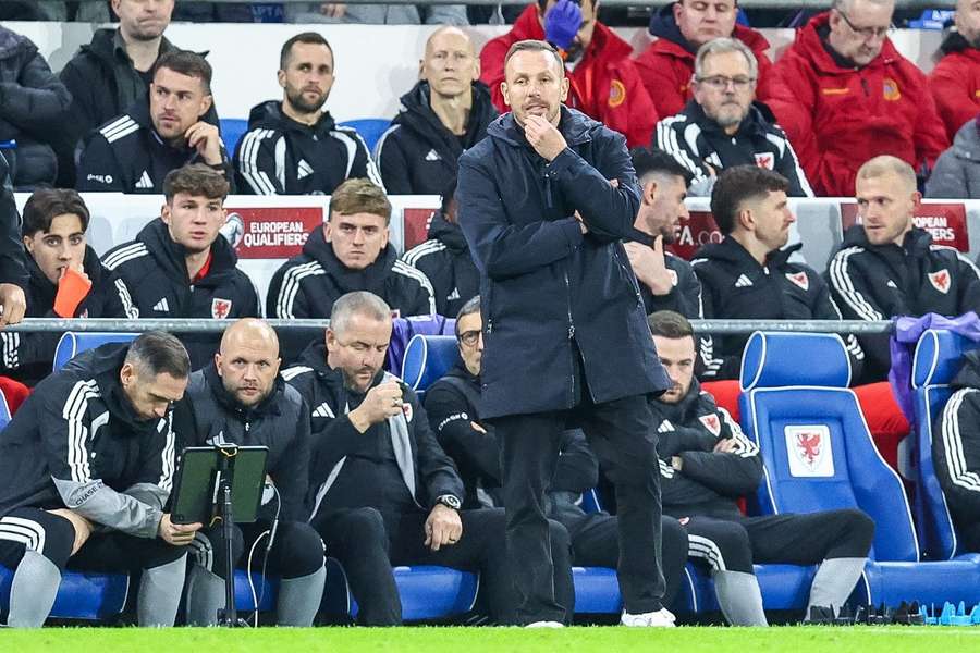 Bellamy is wary of Bosnia and Herzegovina's Dzeko